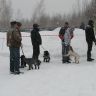7 апреля 2012 года - Ярославская областная выводка охотничьих собак