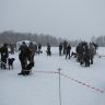 7 апреля 2012 года - Ярославская областная выводка охотничьих собак