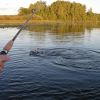 15 сентября 2013 года - Соревнования по ловле рыбы на спиннинг - Кубок ЛесОхот