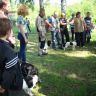 88-я Ярославская областная выставка охотничьих собак
