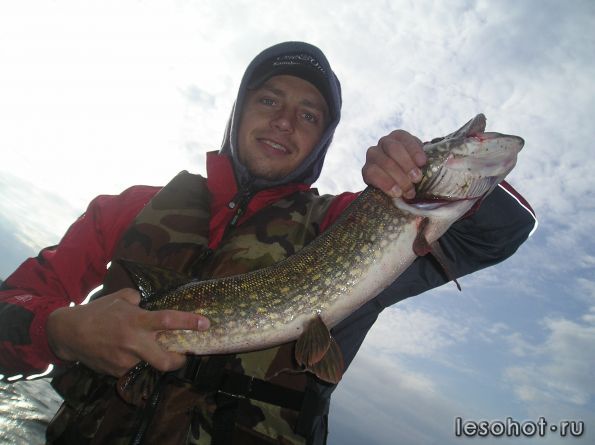 ���� ��������