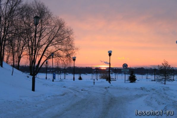 IMG_9888.jpg