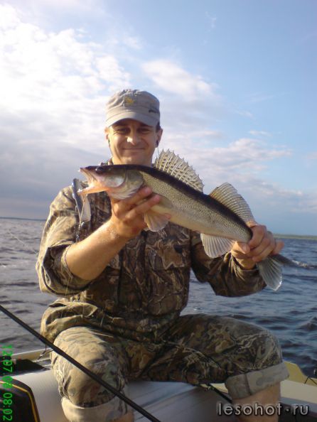 2008���, ���� �� ������� ����������