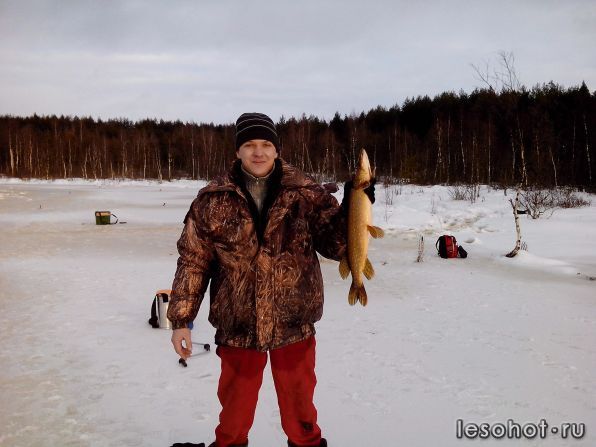 IMG_20121201_142030.jpg