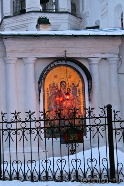 IMG_9878.jpg