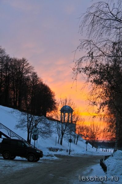 IMG_9884.jpg