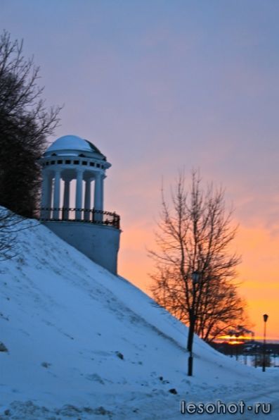 IMG_9885.jpg