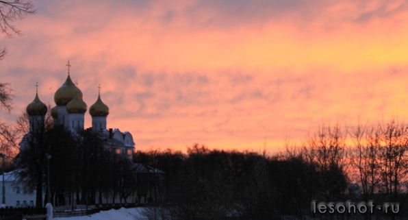 IMG_9875.jpg