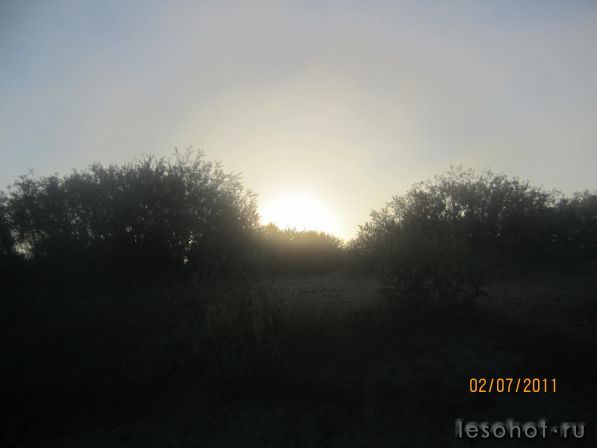 IMG_1207.JPG