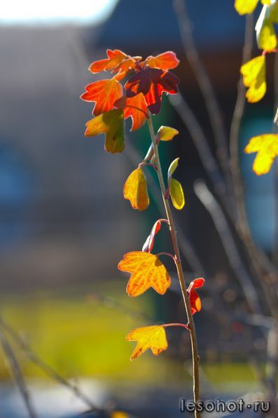 0_70459_247e3b72_-1-XXXL.jpg