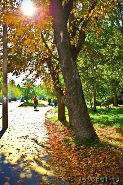 0_52672_c2fe4c11_XXXL.jpg