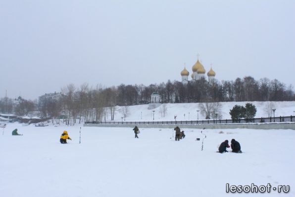 IMG_9895.jpg