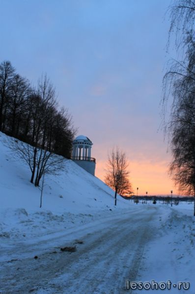 IMG_9886.jpg