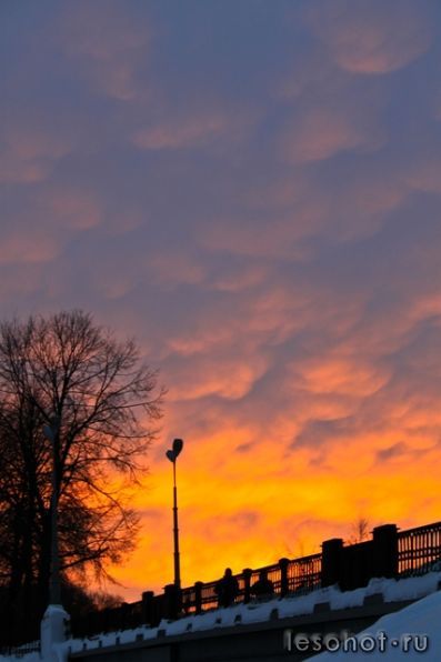 IMG_9880.jpg