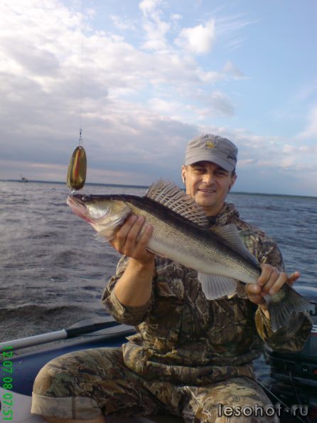 2008 ���, ������ ������ ���� �����... � ������ �������...