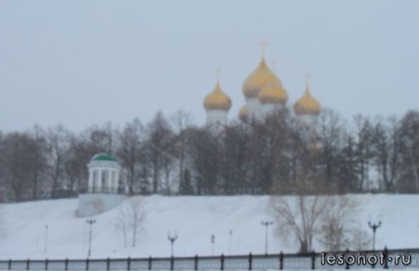 IMG_9907.jpg