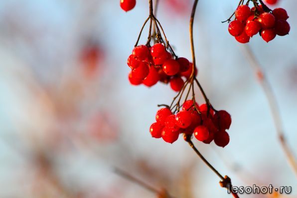 0_70433_a1aa7a6e_XXXL.jpg