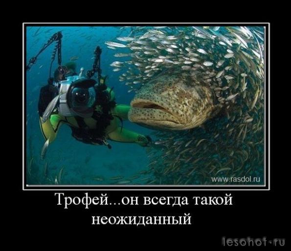 yZtXWbQFL40.jpg
