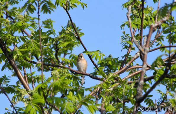 IMG_1820.jpg