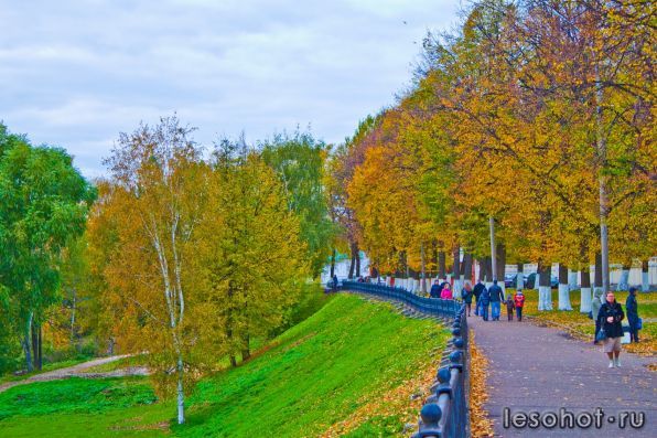 0_515f2_40409ee4_XXXL.jpg