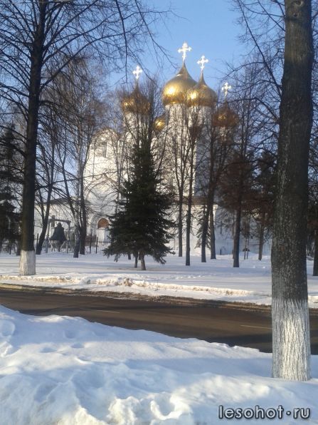 WP_000054.jpg