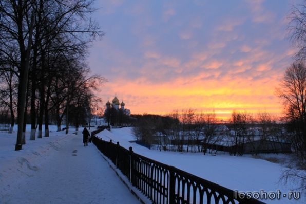 IMG_9873.jpg