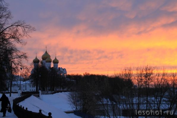 IMG_9874.jpg