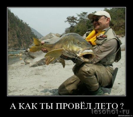 7aVWSb2wuHE.jpg