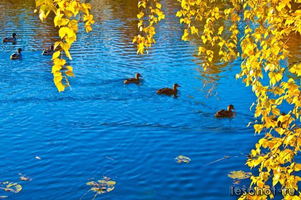 0_51676_55844fd9_XXXL.jpg