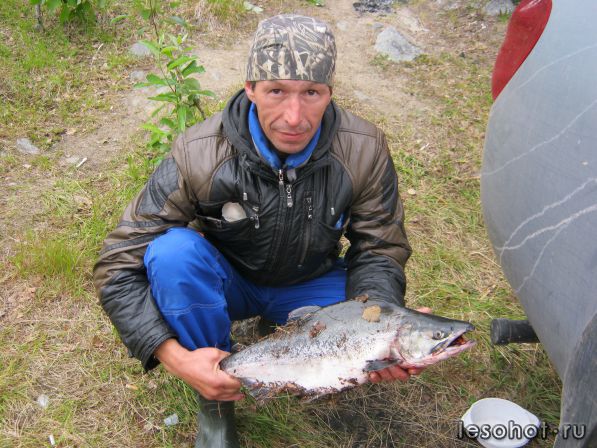 где клюет ярославская обл где клюет ярославская обл