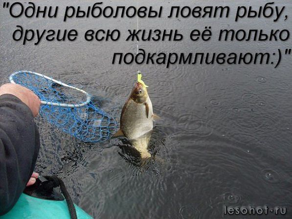 клюет ли рыба при растущем давлении клюет ли рыба при растущем давлении