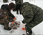 В ростовском озере Неро задыхается рыба