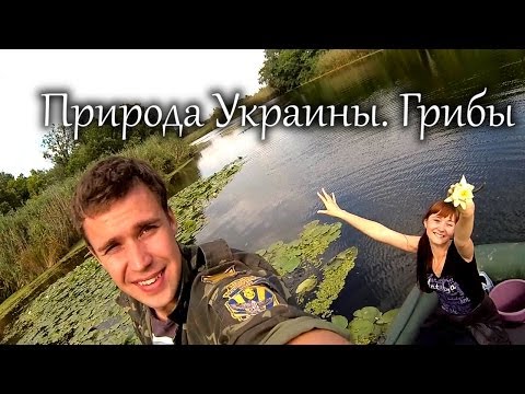 Природа Украины.Грибочки (Ukraine's Nature. Mushrooms) ...Turistorii