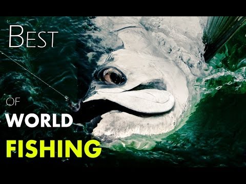 BEST of WORLD FISHING