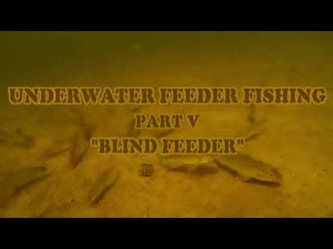 Underwater Feeder Fishing Part V.    5 " ".