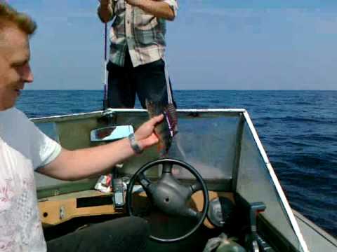 Рыбалка на Рыбинском водохранилище 4