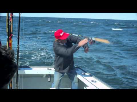 Huge Striped Bass pulls rod out of mans hand!