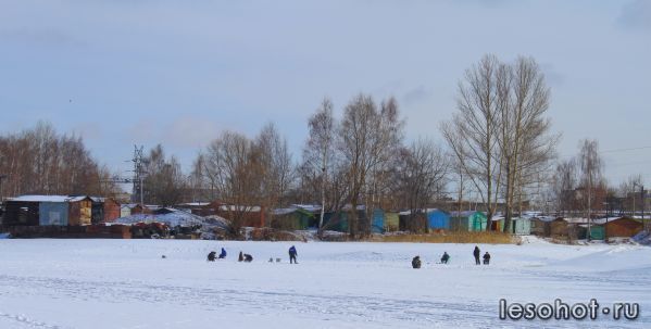 IMG_0859.jpg