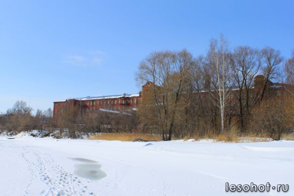 IMG_0856.jpg