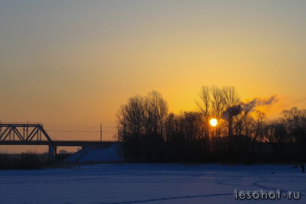 IMG_0183.jpg