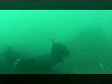 Мир подводной охоты № 28